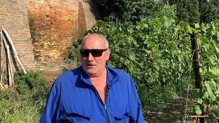 Venezia, il vino dei frati. Il racconto del viticoltore