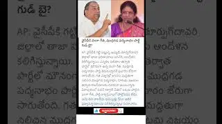 Big shock to YS Jagan.. vanga Geetha quits YCP #vangageetha #mudragadapadmanabham