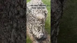 &lsquo;MAGIC STONE&rsquo; associated with WITCHES, DRUIDS and DRAGONS in ancient folklore #folklore #history