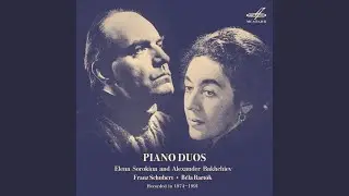 Divertissement, Op. 84: No. 1, Andantino varié in B Minor