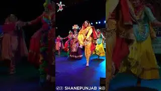 Chachi Deh Vehrhe  | Shan-E-Punjab at Flower City Giddha | First Place
