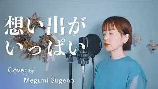 想い出がいっぱい / H2O【ピアノver.】Cover by Megumi Sugeno