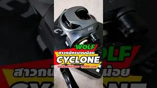 🚦WOLF CYCLONE 