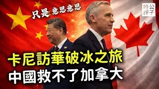 中國電動車來了！加拿大總理卡尼訪華，華人回國免簽，降低農產品關稅，中加關係緩和只是意思意思？台灣與美國簽署貿易協議，才是加拿大的榜樣！