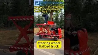 JIN YANG HU Electric Flatbed Truck with Steering Wheel Double-cylinder Hydraulic Lift Platform Truck