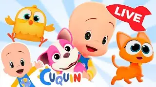 🔴 LIVE 🔴 Learn colors, numbers and shapes with Cuqu&iacute;n | Educational videos for kids