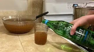 Sparkling Apple Cider That is Worth the Hype!
