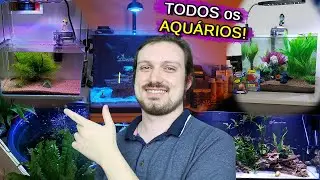 Mostrando TODOS os meus AQUÁRIOS!