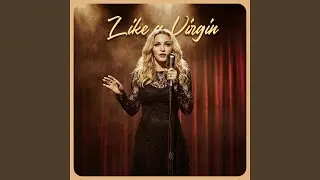 Like a Virgin (Soul-Blues Rework)