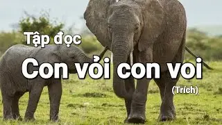 Con vỏi con voi - Tiếng Việt 2 | #coverbytmn 