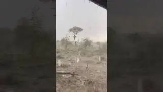 caught in heavy rain 🌧️