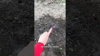 This Simple Soil Prep Hack Will Make Your Plants Explode with Growth