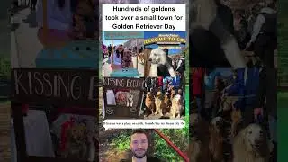 Hundreds of Golden Retrievers Gather in Colorado for Annual &lsquo;Goldens in Golden&rsquo; Celebration 🐾