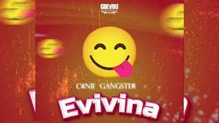 Conii gangster - EVIVINA (Audio officiel)