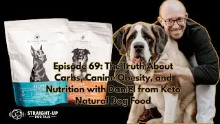 How Carbs in Dog Food Impact Weight, Inflammation, and Behavior
