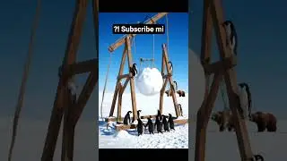 funny videos 🤣🤣🤣🤣🤣🤣Penguin Ki Masti