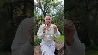 D&iacute;a 26  - Entre Fascia y Linfa ✨