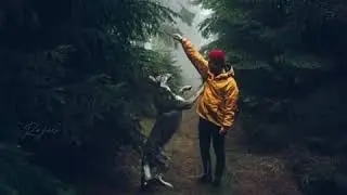 Dog love tamil whatsapp status | Pet love Whatsapp status
