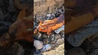 I learned how to cook a pig Hawaiian style