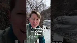 5 Ways We All Benefit From Trees #shorts #forest #nature