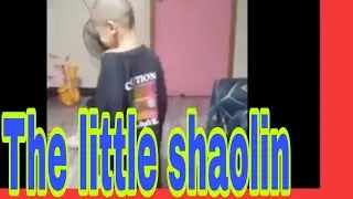 The little shaolin...