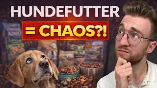 Hundefutter = Chaos? Worauf es wirklich ankommt!
