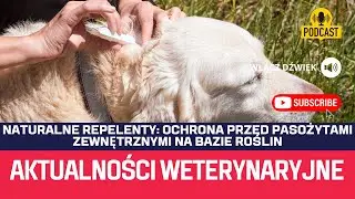 Naturalne Repelenty: Ochrona Przed Pasożytami Zewnętrznymi Na Bazie Roślin