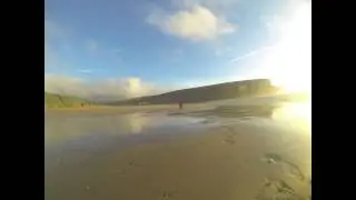 Wilbur on the Beach
