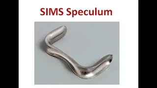 Sims Speculum (Gynaecological Instrument)