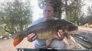 Carp fishing. Virginia lake Reno nv