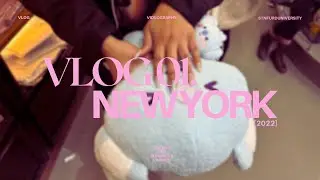VLOG 01. NEW YORK 2022 | STNFURDUNIVERSITY