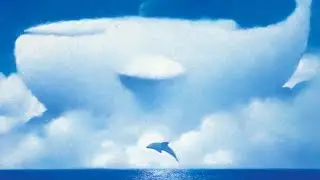 ​​