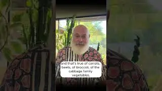Raw vs Cooked Veggies