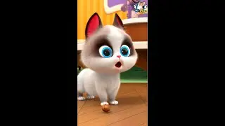 Pet House 🐱🐹 | Cracking This Walnut 開核桃 | Flying MOCO Shorts 爆笑飛狗MOCO (2022)