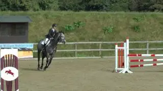 Bryony Holloway.. www.comphorses.net