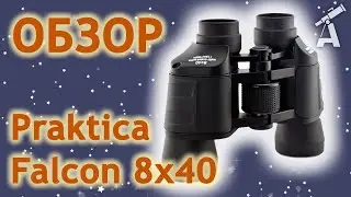 Обзор бинокля Praktica Falcon 8x40