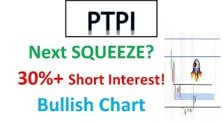 #PTPI 🔥 The next big squeeze candidate? whats the data showing?should you get in now?Price analysis