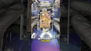 Держатель влажности - Тест-сравнение | Ремонт карточек Pokemon One Piece TCG #pokemomcards #onepi...
