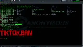 TikTok Mass Report Tool with request URL