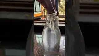 Ear Buds Perfume Trick 😲 #shorts #viral #siblingsforshot #trending #experiment