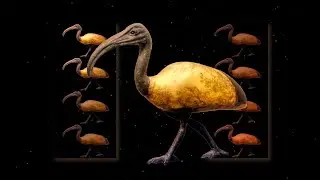 Thoth (Tehuti) and the City of Eight (Hermopolis)