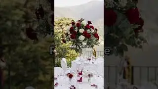 #greenscreen Which wedding theme is your favorite? I think mine is colorful
