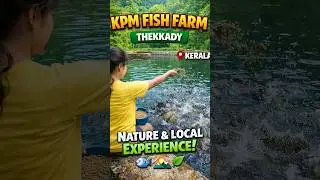 Inside KPM Fish Farm | Natural Fish Farming 🌊