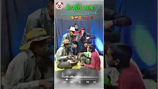 Incoming Band Bawe Outgoing Chalata 😍 | Khesari Lal Yadav | Bhojpuri Holi Song #shots #video