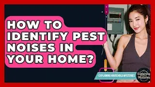 How To Identify Pest Noises In Your Home? - Explaining Household Mysteries