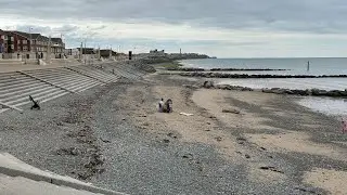 What's New at Cleveleys Seafront? Spot the Ogre & Business Changes