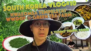 South Korea Vlog #10 Hwaeomsa Temple WWOOFing at Green Tea Farm & Yummy Temple Food!!