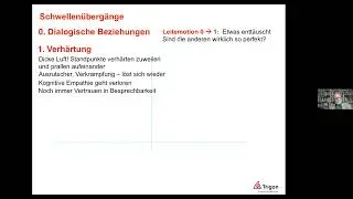 Webinar mit Prof. Friedrich Glasl: Konfliktdynamik und Friedenschancen in der Ukraine