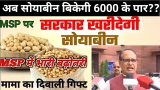 सोयाबीन समर्थन मूल्य 2025। soybean MSP 2025। soybean mandi bhav। soybean teji Mandi report। soybean।