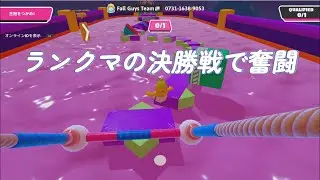 ランクマの決勝戦で奮闘！